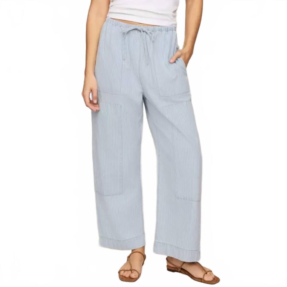 NEW Z SUPPLY the carpenter pant in seaboard stripe